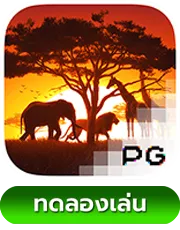 Safari-Wilds